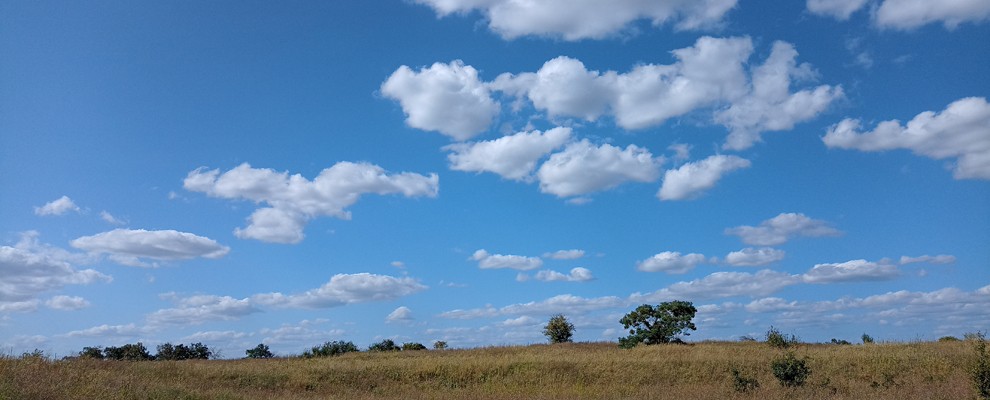 DA_HLMD_Cumulus Wolken über der Griesheimer Düne_IN.jpg